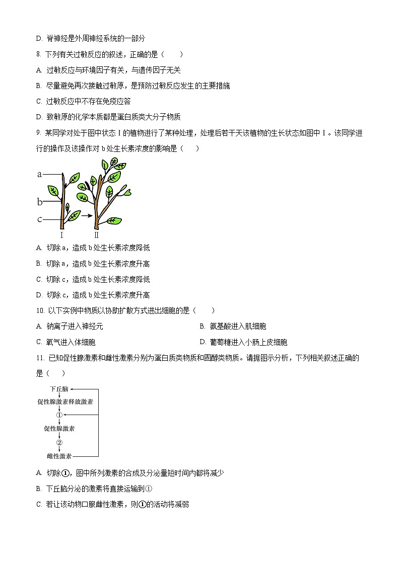 吉林省长春外国语学校2023-2024学年高二下学期开学考试生物试卷（Word版附解析）03