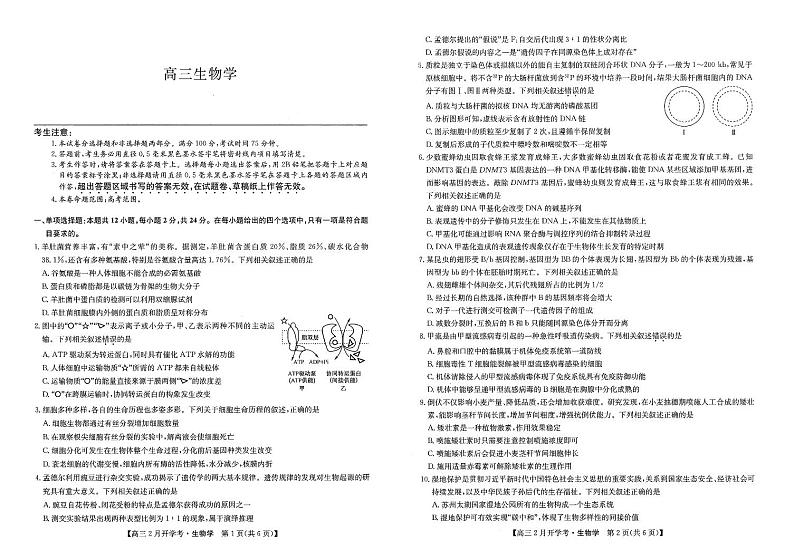九师联盟2023-2024学年下学期高三2月开学考试 生物试题及答案01
