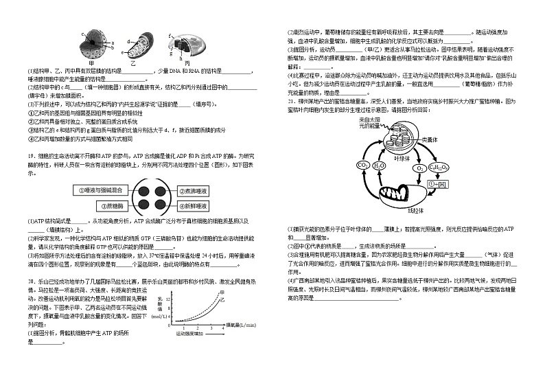 江西省宜春市宜丰县宜丰中学2023-2024学年高一下学期开学考试生物试题03