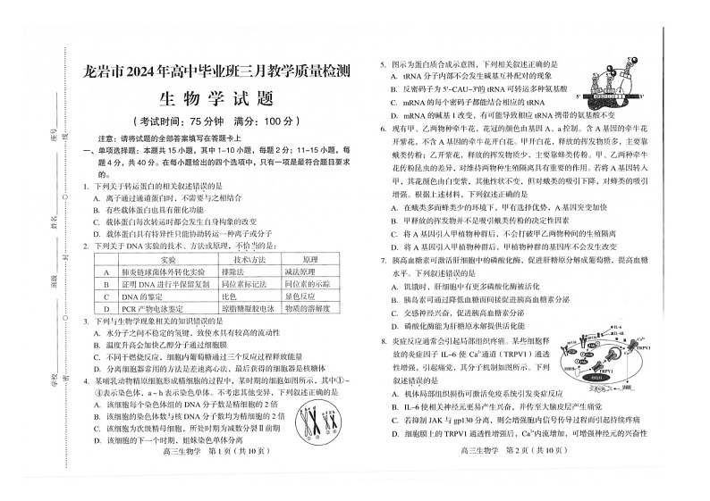 2024届福建省龙岩市高三下学期一模考试 生物试题（无答案）01