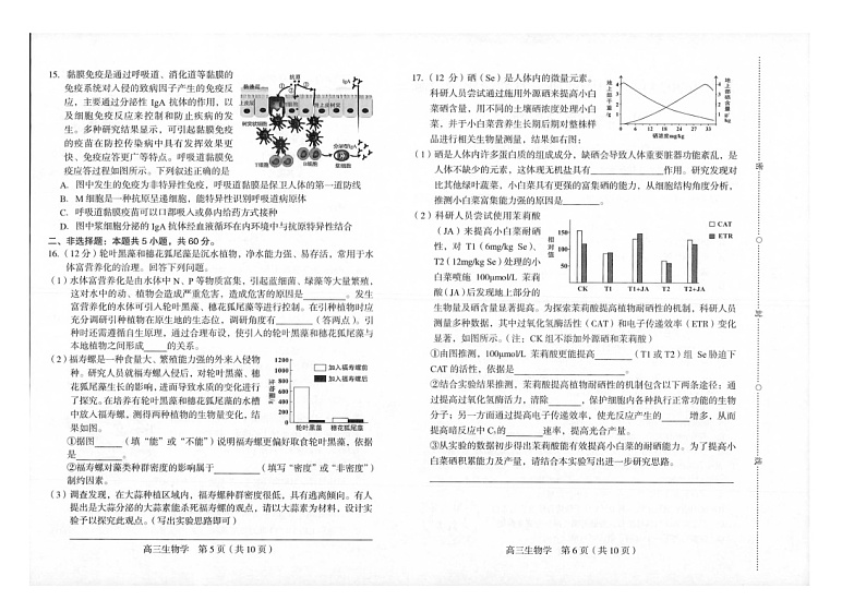 2024届福建省龙岩市高三下学期一模考试 生物试题（无答案）03