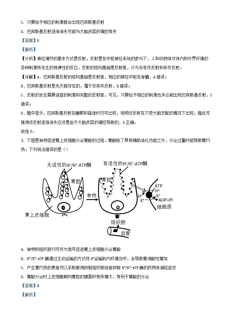 湖北省武汉市2023_2024学年高二生物上学期10月阶段性检测试题含解析02