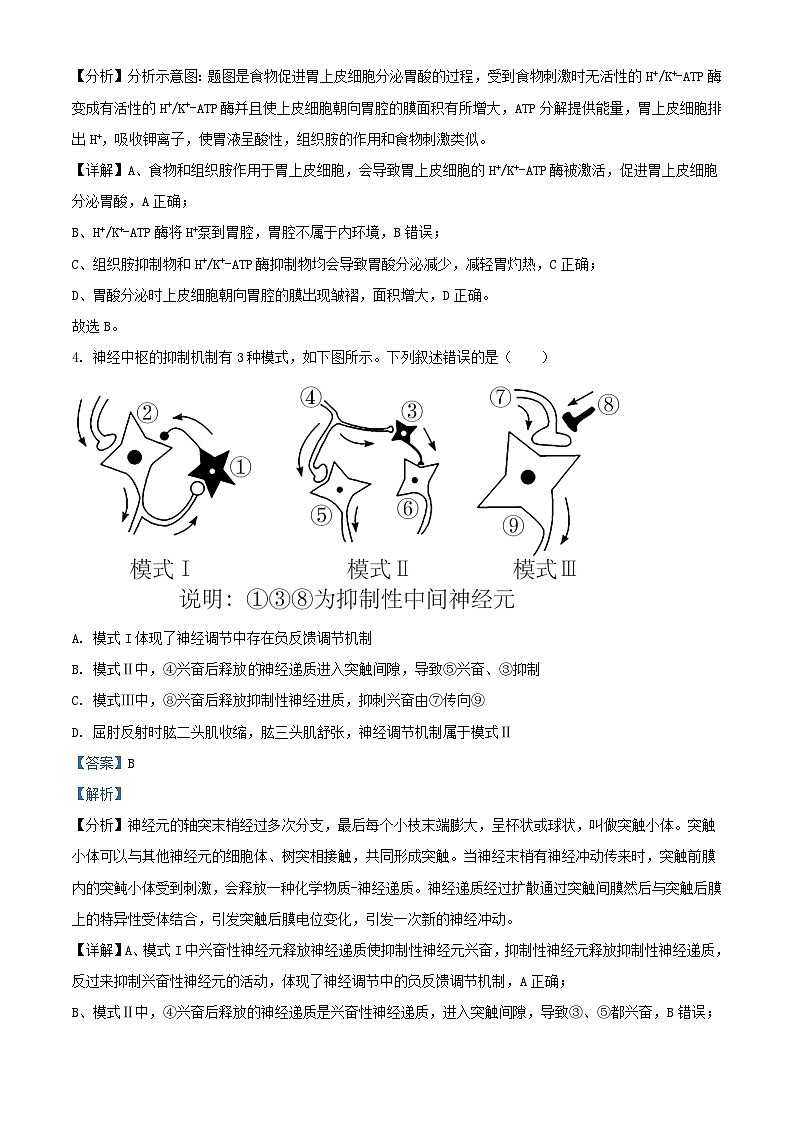 湖北省武汉市2023_2024学年高二生物上学期10月阶段性检测试题含解析03