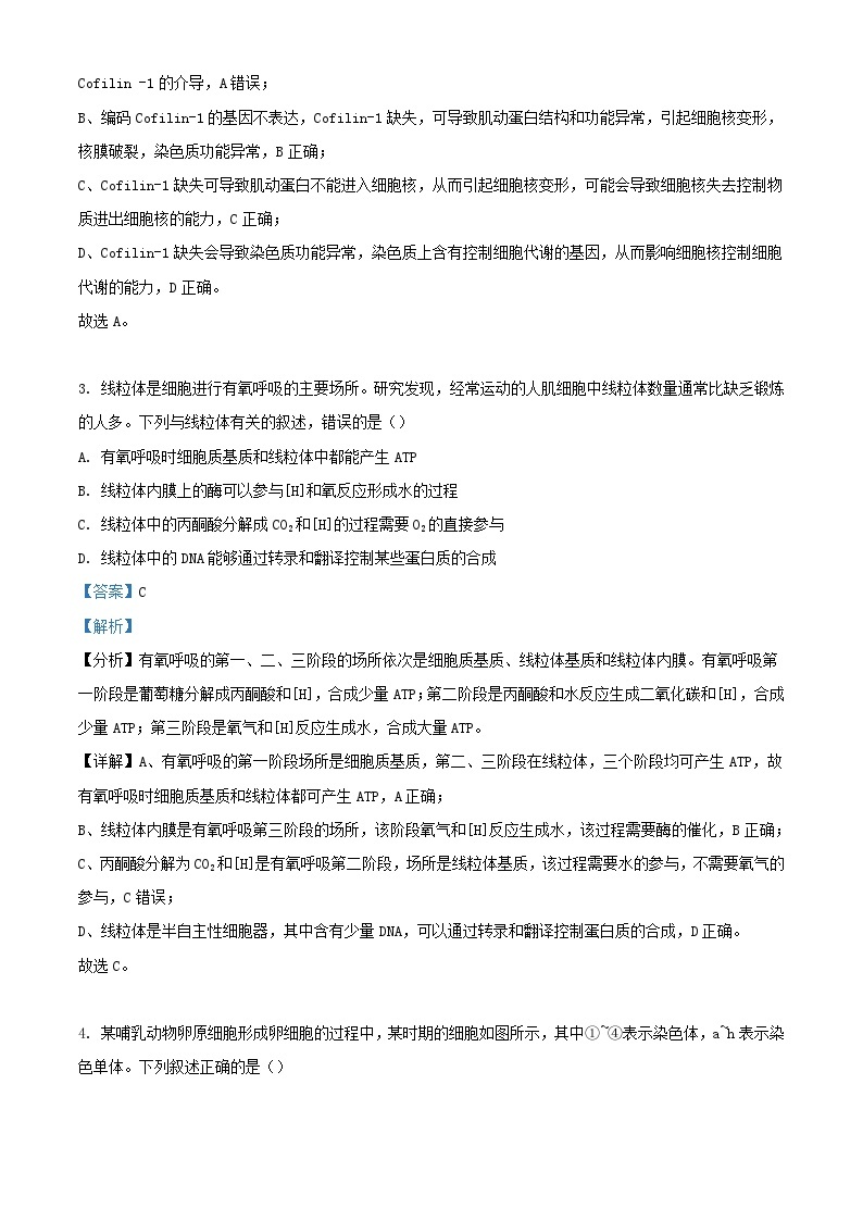 湖北省襄阳市宜城市2023_2024学年高二生物上学期9月月考试题解析版02
