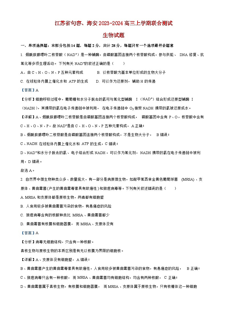 江苏输容海安2024高三生物上学期10月联考试题第1页