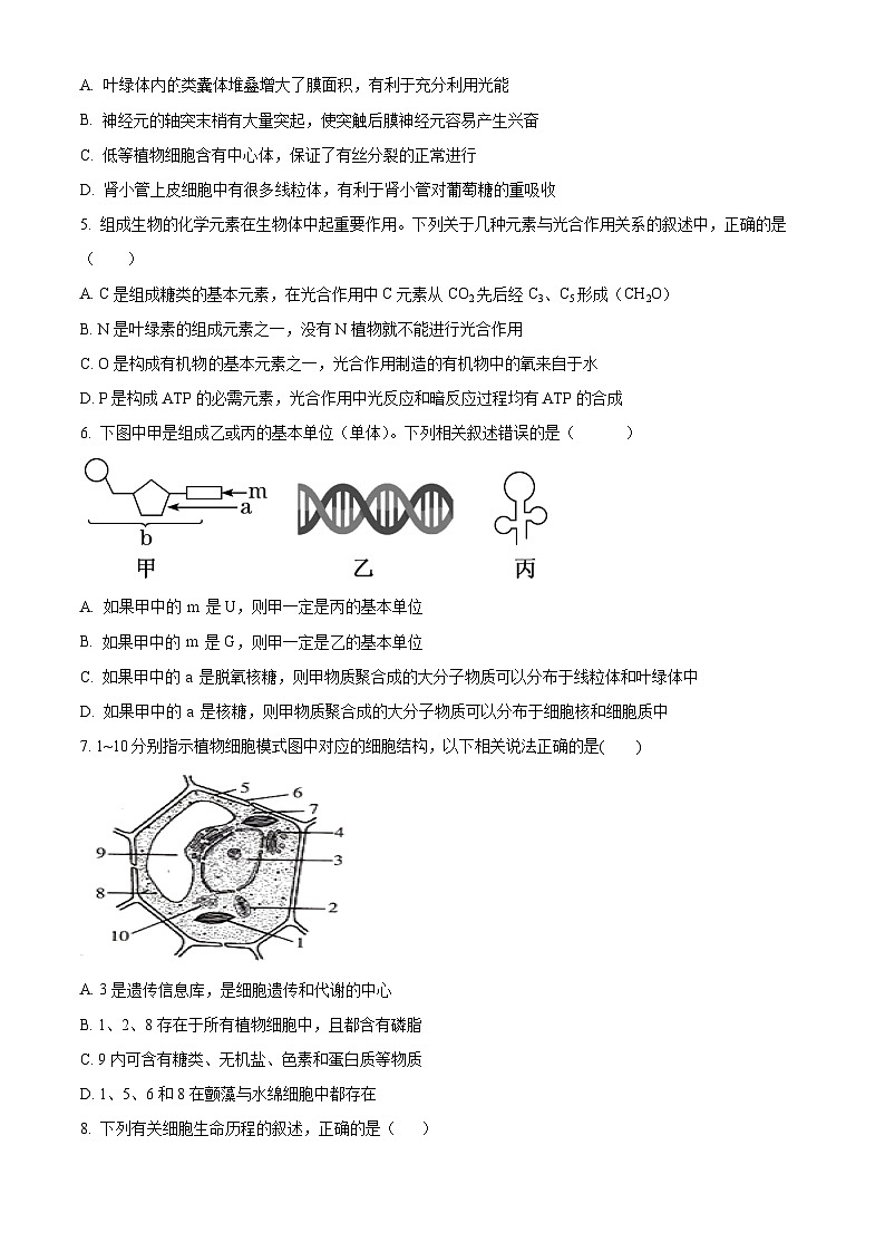 2024西安五校联考高一上学期期末考试生物含解析第2页