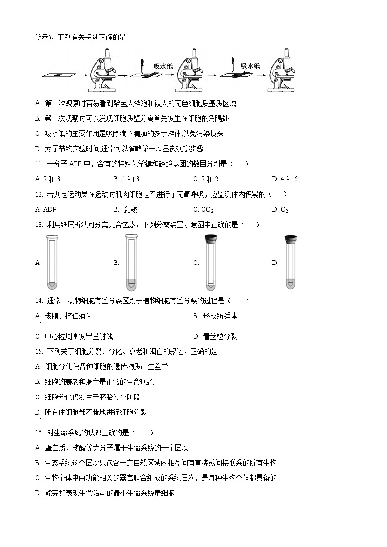 2024北京市九中高一下学期开学考试生物含解析02