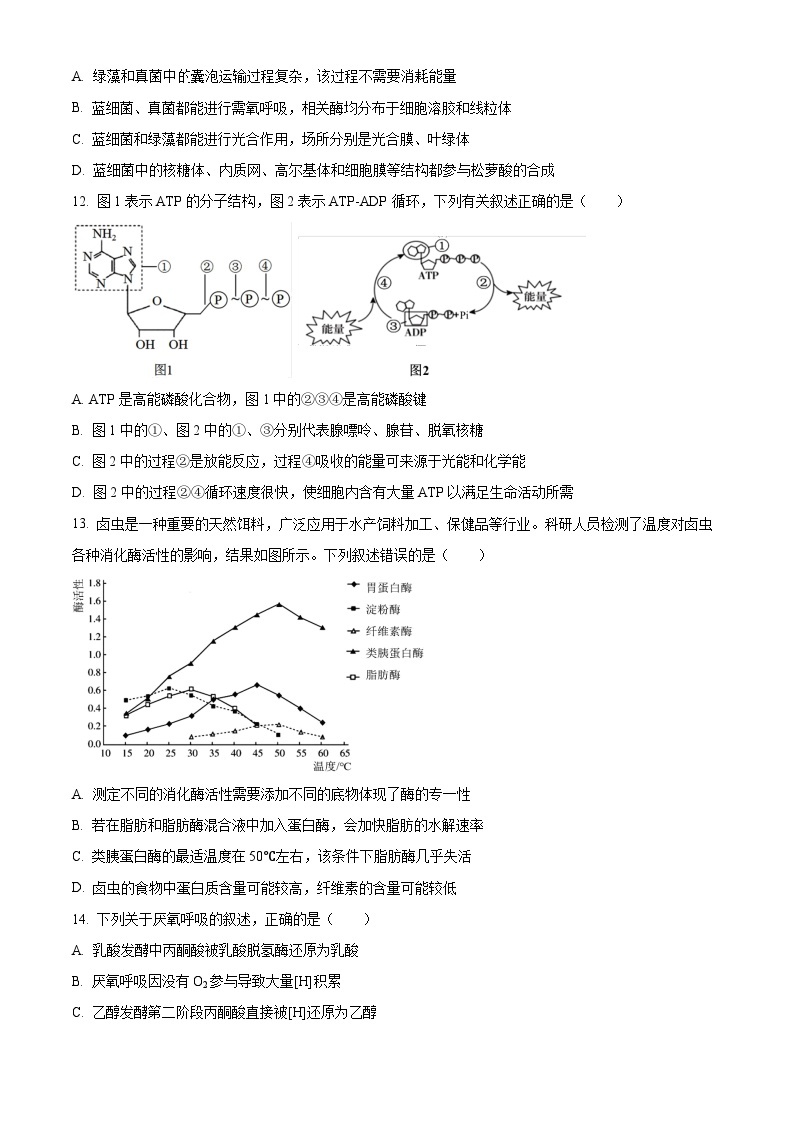 2024浙江省浙南名校联盟高一下学期开学考试生物试题含解析03