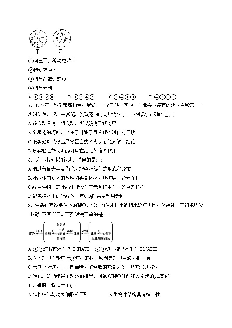 运城市康杰中学2023-2024学年高一下学期开学考试生物试卷(含答案)第2页