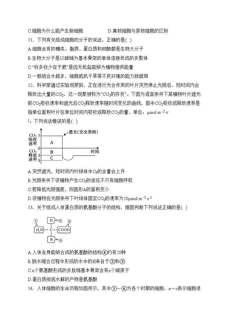 运城市康杰中学2023-2024学年高一下学期开学考试生物试卷(含答案)第3页