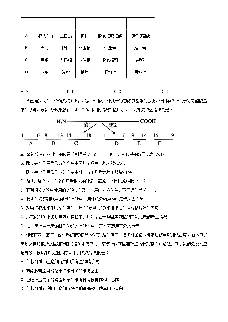 江西省新余市一中2023—2024学年高一下学期开学考试生物试题（原卷版）第2页