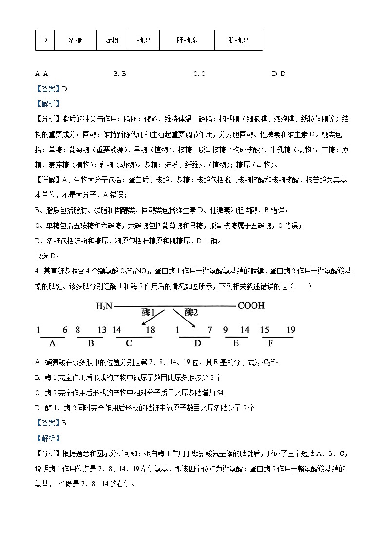 江西省新余市一中2023—2024学年高一下学期开学考试生物试题（解析版）第3页