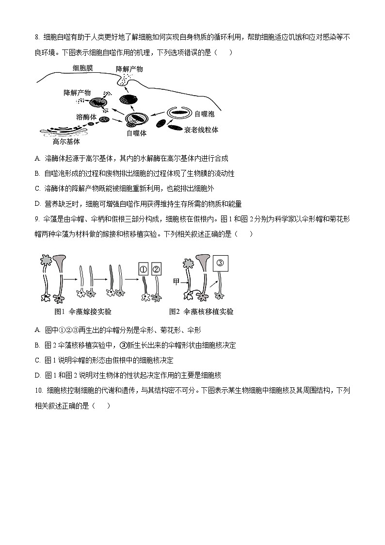 广东省深圳市龙岗区2023-2024学年高一上学期1月期末考试生物（Word版附解析）第3页