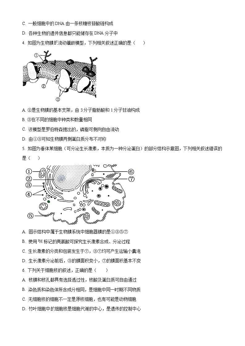 山西省部分学校2023-2024学年高一上学期1月期末联考试题生物（Word版附解析）02