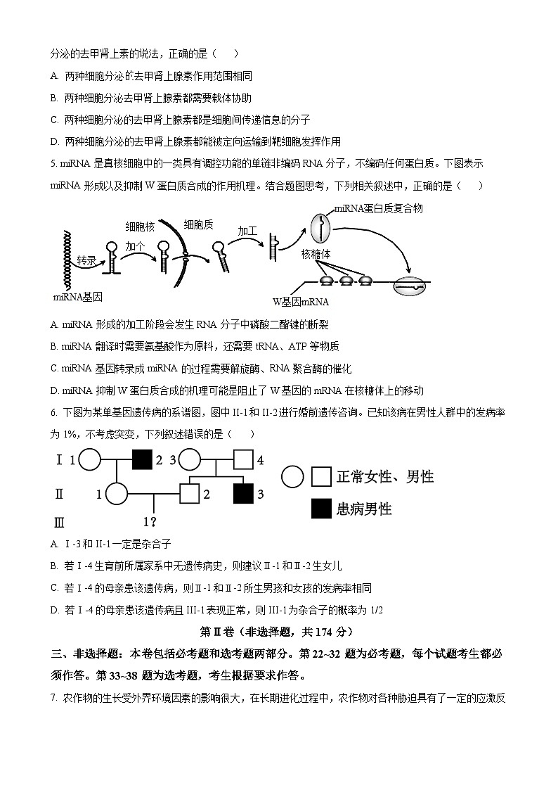 四川省成都市树德中学2023-2024学年高三下学期开学考试理综生物试题（Word版附解析）02