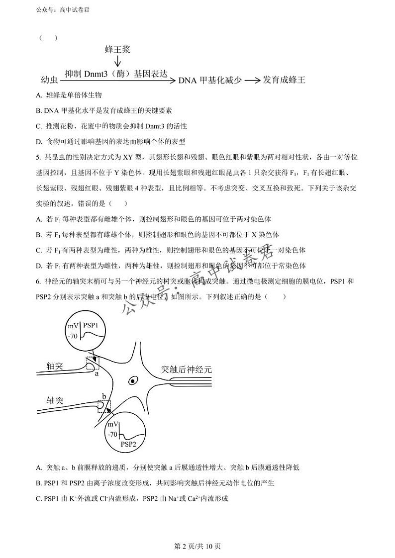 河北省辛集市2023-2024学年高三上学期期末教学质量监测生物试题及答案02