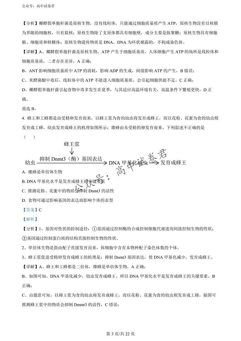 河北省辛集市2023-2024学年高三上学期期末教学质量监测生物试题及答案03