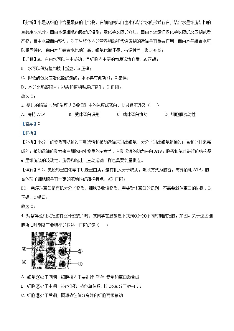 浙江省2024年1月普通高校招生选考科目考试生物学试题（Word版附解析）02