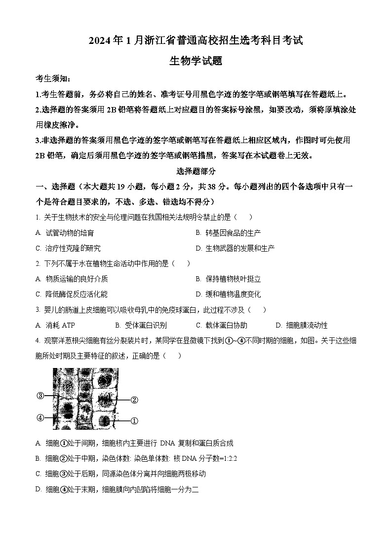 浙江省2024年1月普通高校招生选考科目考试生物学试题（Word版附解析）01