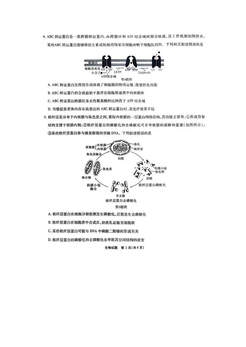 重庆市南开中学2023-2024学年高三下2月月考生物试题第2页