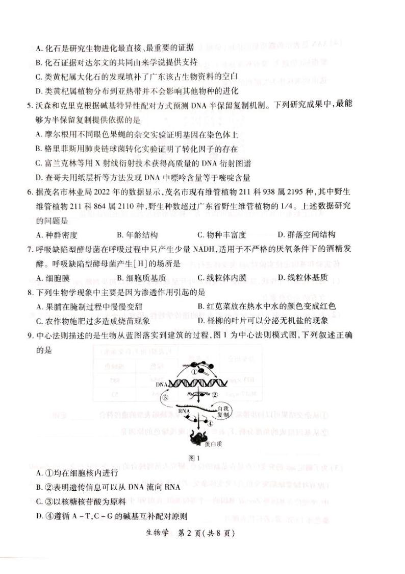 广东省茂名市2024届高三上学期第一次综合测试（一模）生物试卷（PDF版附答案）02