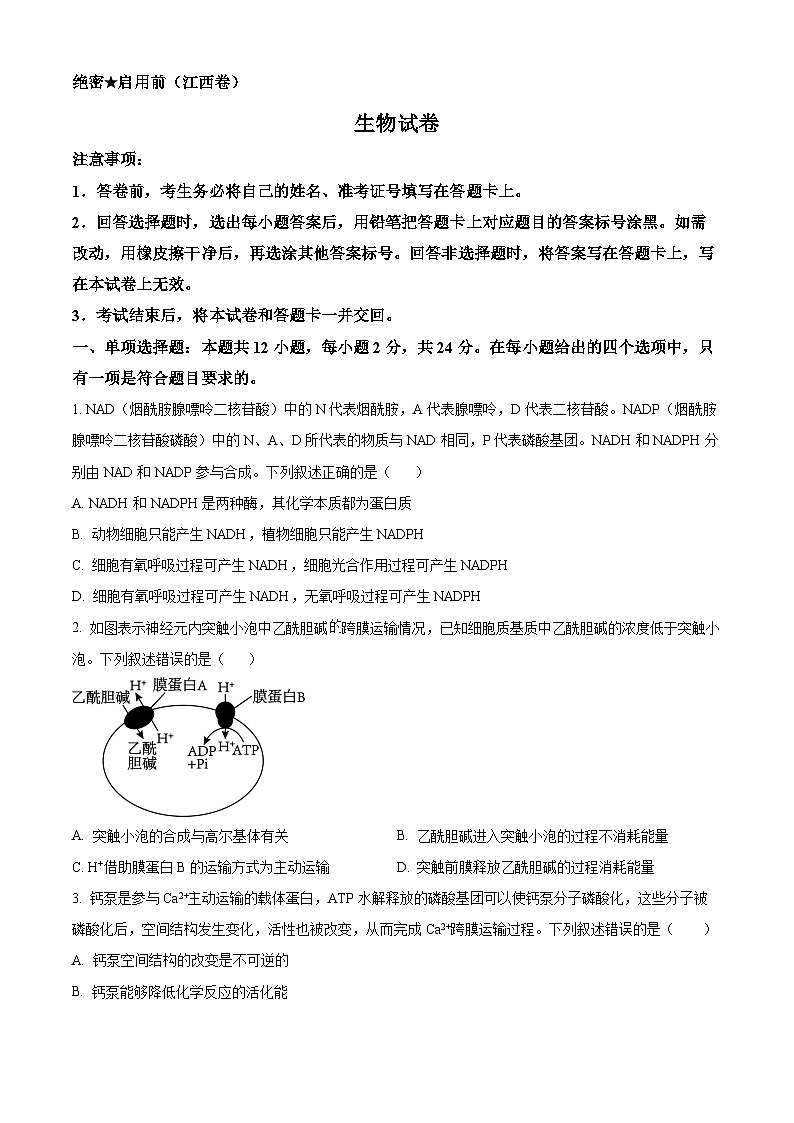 江西名校教研联盟2024届高三下学期2月开学考试生物试题（Word版附解析）01