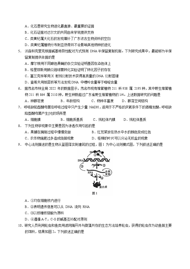 2024届广东省茂名市高三年级第一次综合测试（茂名一模）生物（解析版）02