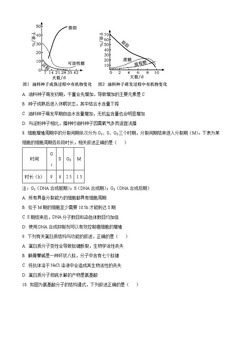 河南省许昌高级中学2023-2024学年高一下学期开学考试生物试卷（Word版附解析）第3页