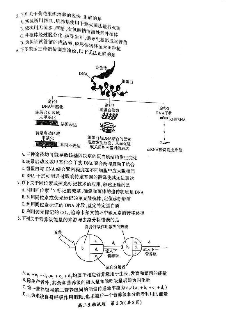 2024届福建省厦门市高三下学期高中毕业班第二次质量检测生物试题第2页