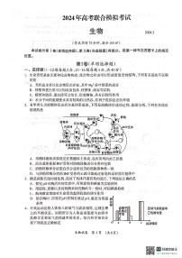 2024届广西壮族自治区河池市高三3月联合模拟考试生物试题（无答案）