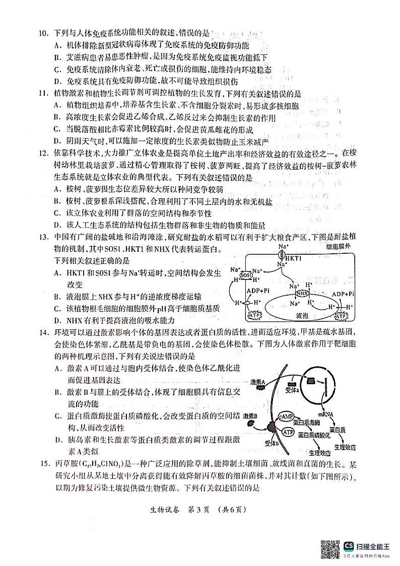 2024届广西壮族自治区河池市高三3月联合模拟考试生物试题（无答案）03