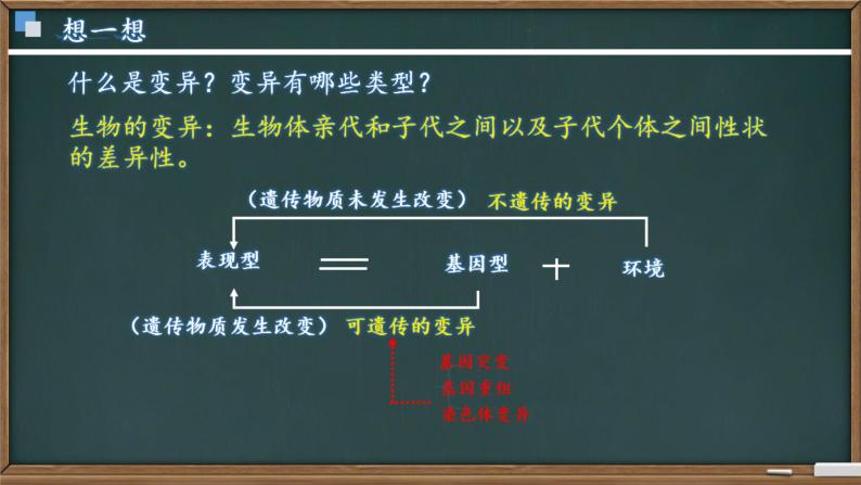 5.1基因突变和基因重组 课件04