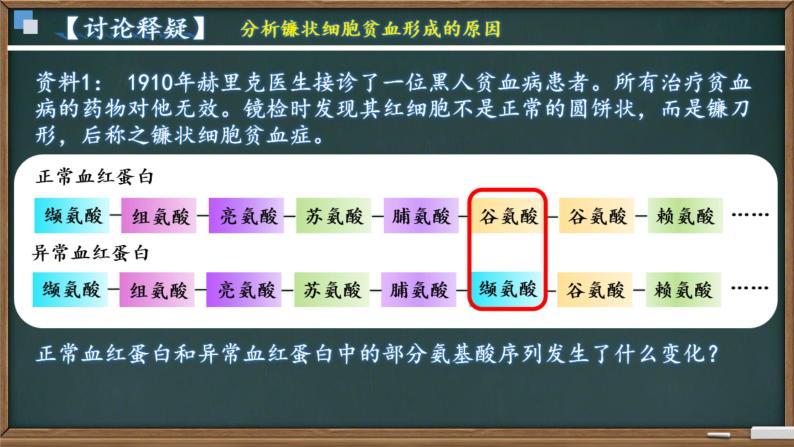 5.1基因突变和基因重组 课件07