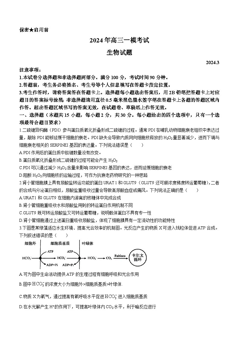 2024届山东省菏泽高三一模生物试题01