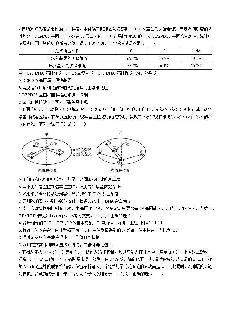 2024届山东省菏泽高三一模生物试题02
