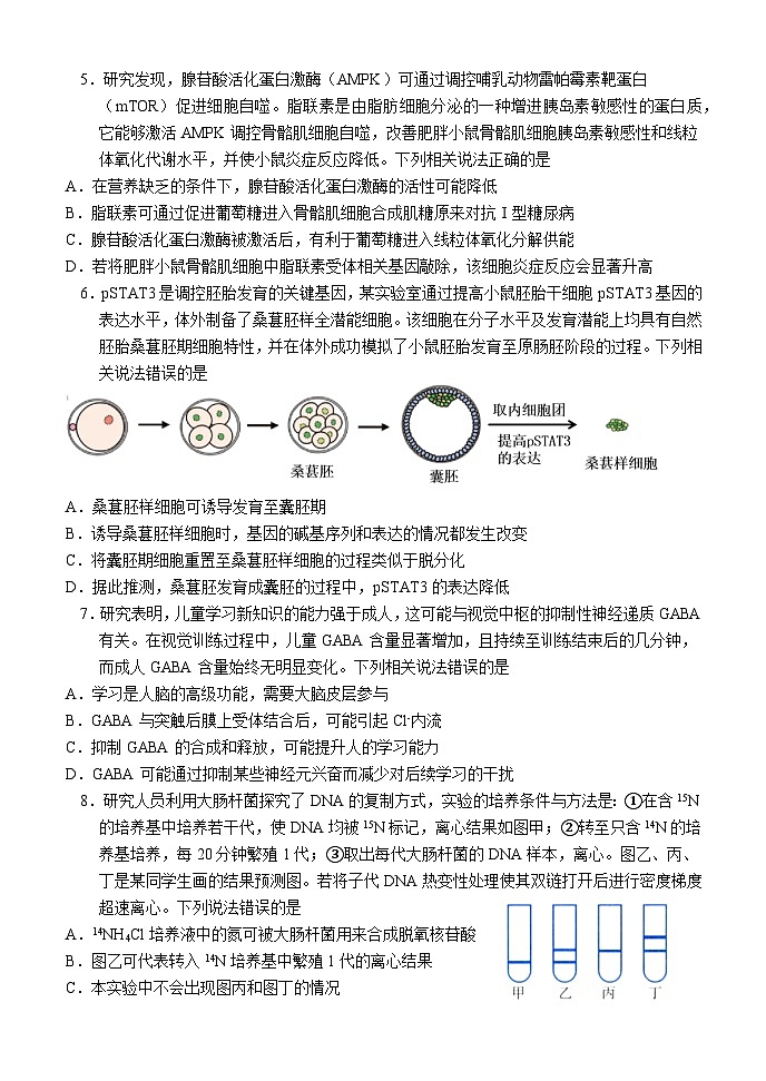 2024湖北省沙市中学高三下学期3月月考试题生物含答案02