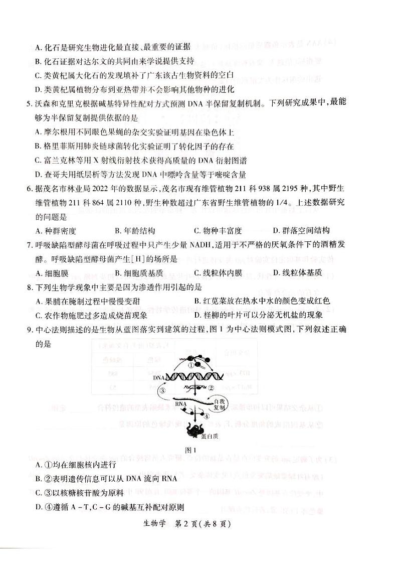 2024茂名高三上学期第一次综合测试（一模）生物PDF版含答案02
