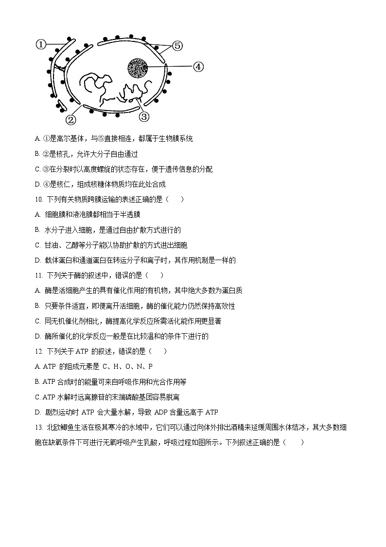 湖南省长沙市明德中学2023-2024学年高一上学期期末生物试题无答案第3页