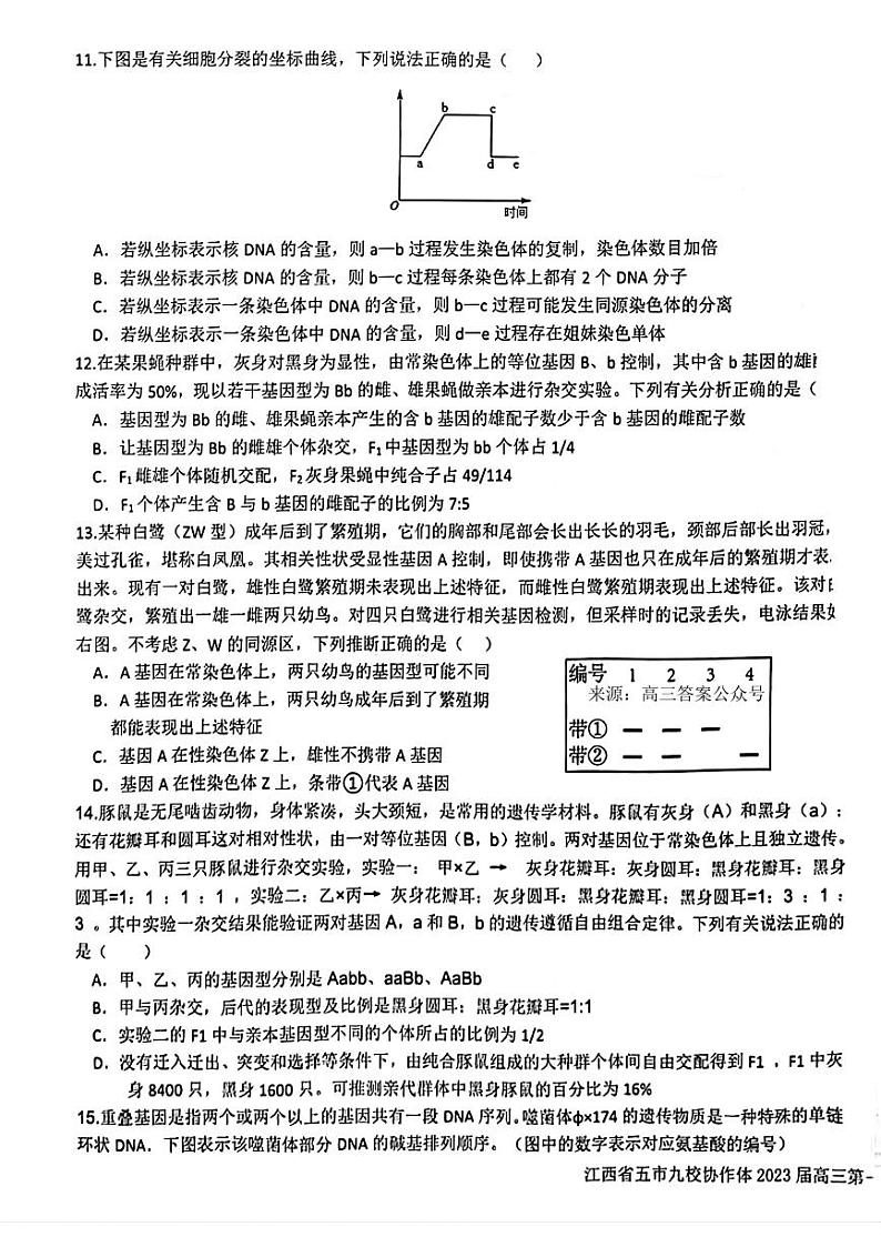 江西省五市九校协作体2023届高三第一次联考生物试题及答案03