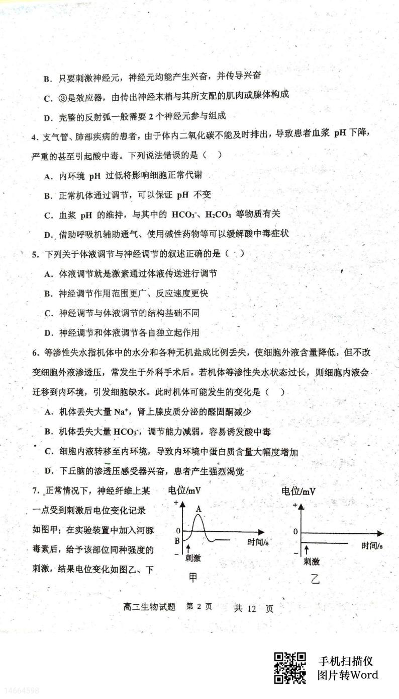 吉林省四校联考2023_2024学年高二生物上学期10月月考试题02