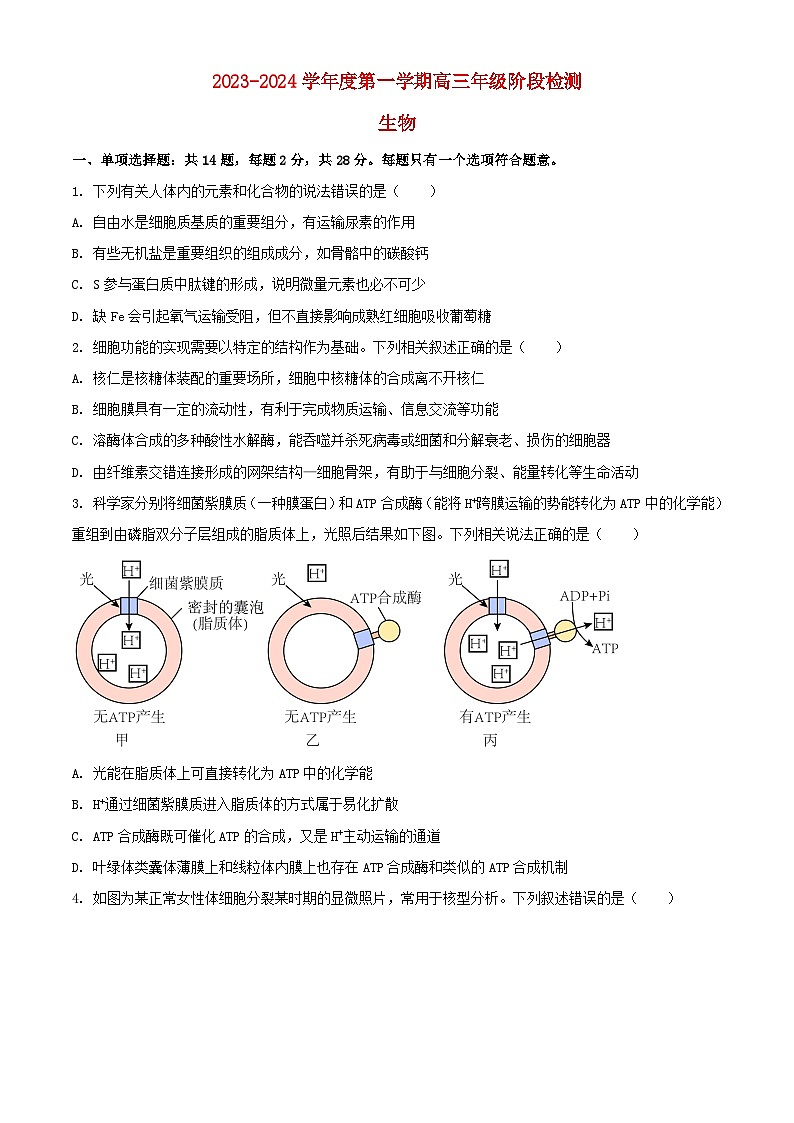 江苏省海安市2023_2024学年高三生物上学期10月月考试题含解析第1页