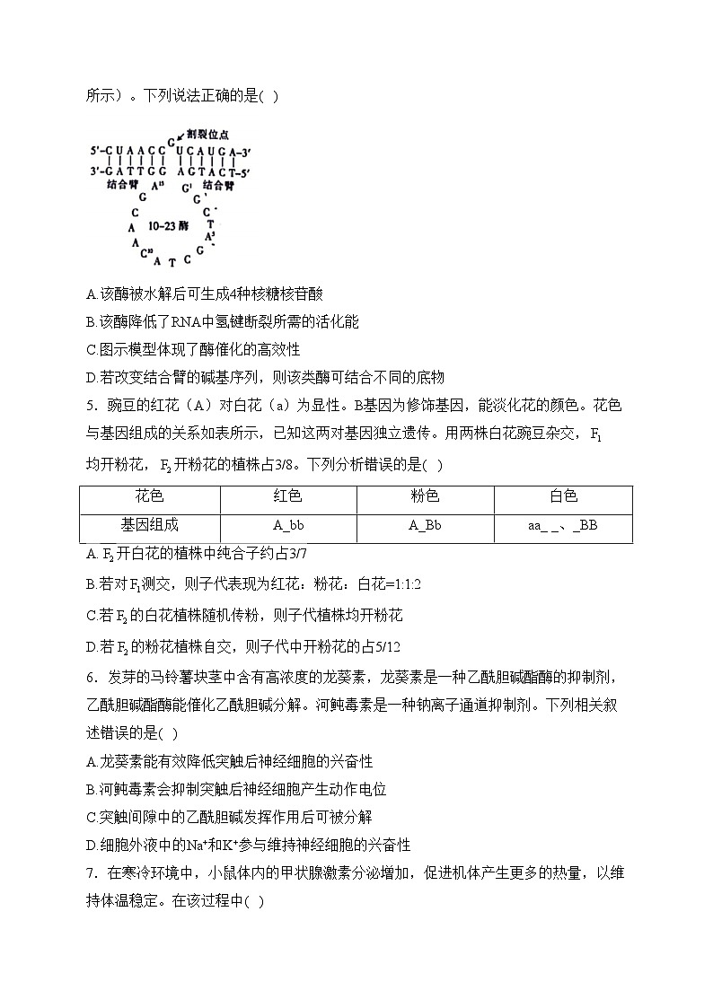 福建省十一校2024届高三上学期1月期末联考生物试卷(含答案)02