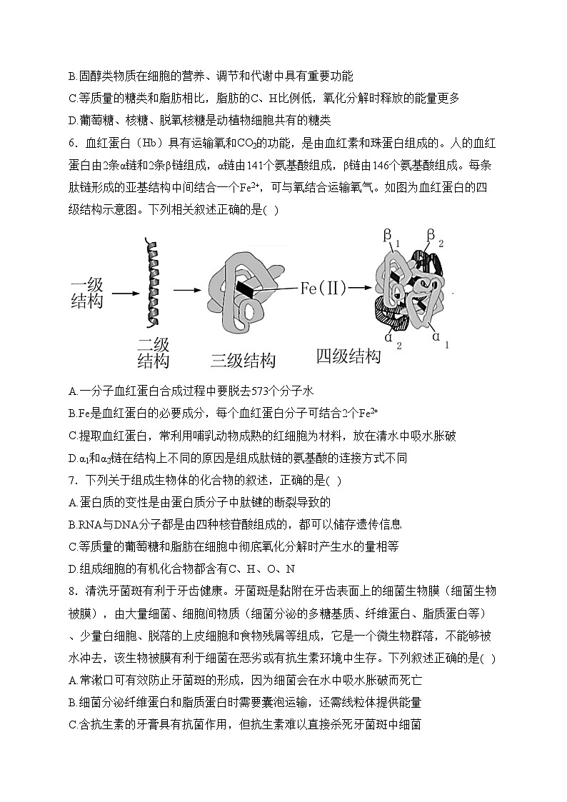 广东省三所名校2023-2024学年高一上学期1月期末考试生物试卷(含答案)02