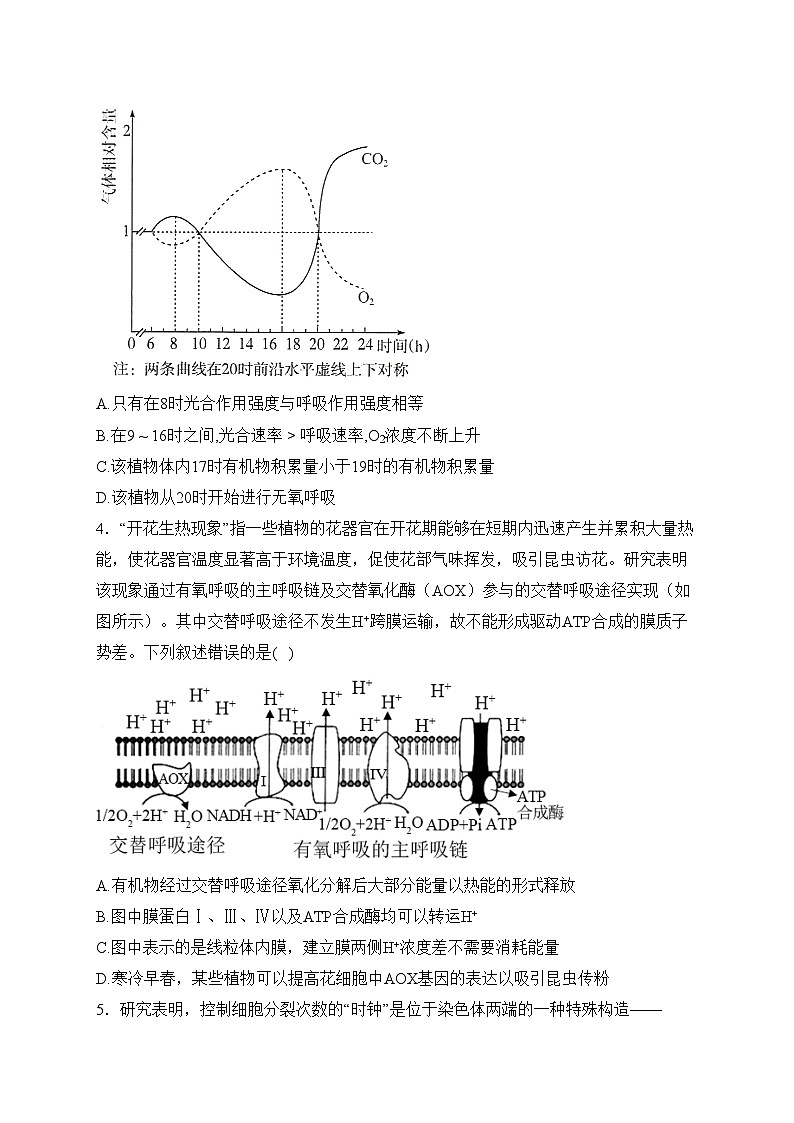 山东省济南市莱芜第一中学2024届高三上学期期末模拟生物试卷(含答案)02