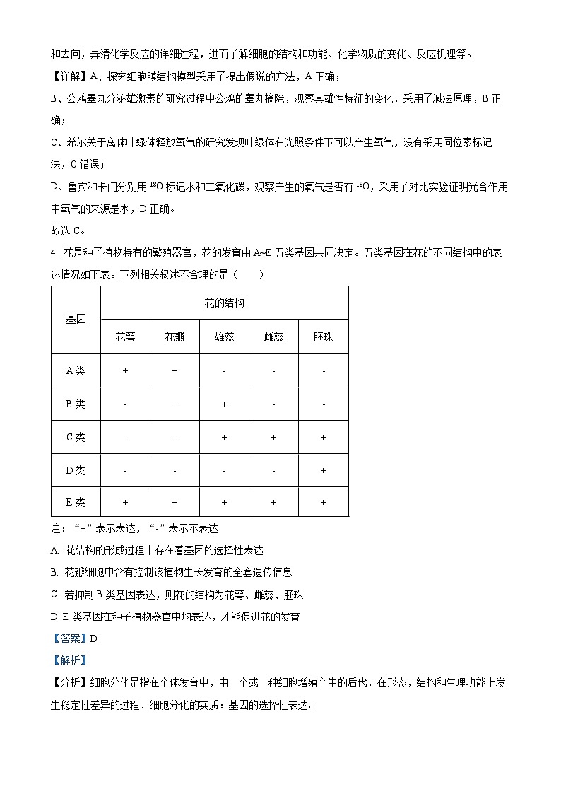 2024届福建省泉州市高三下学期毕业班质量监测（三）生物试题（解析版）第3页
