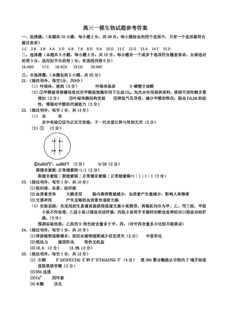 2024届山东省菏泽市高三下学期一模生物试题01