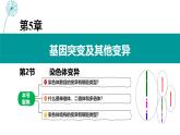 5.2.1染色体变异 课件