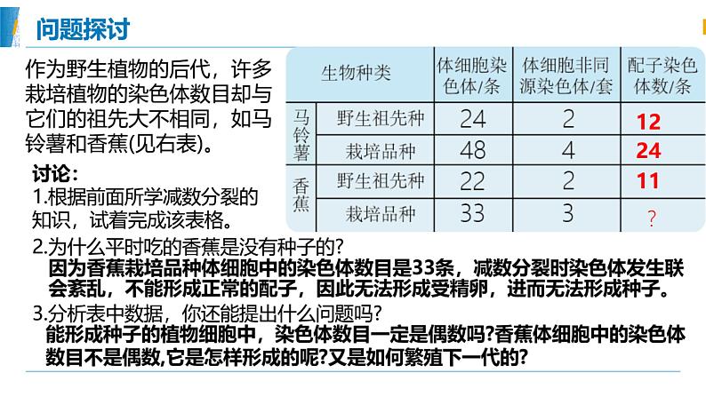 5.2.1染色体变异 课件第2页