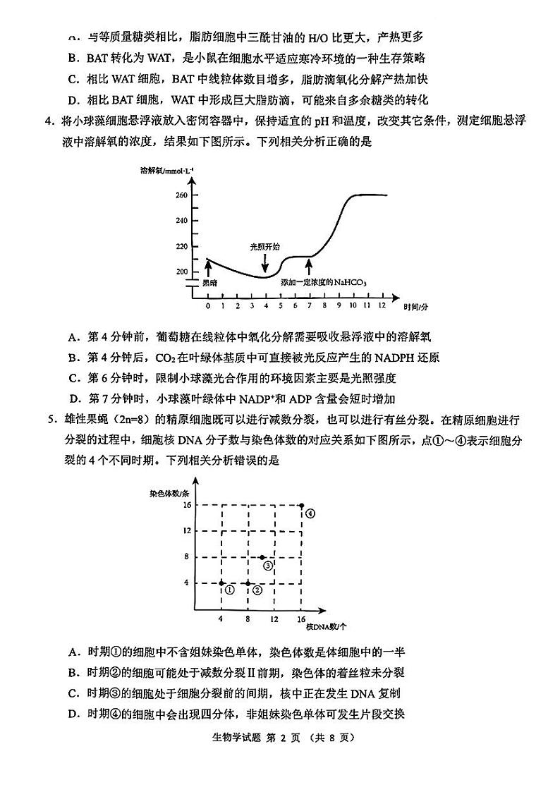 2024届安徽省江南十校高三下学期一模考试生物试题第2页