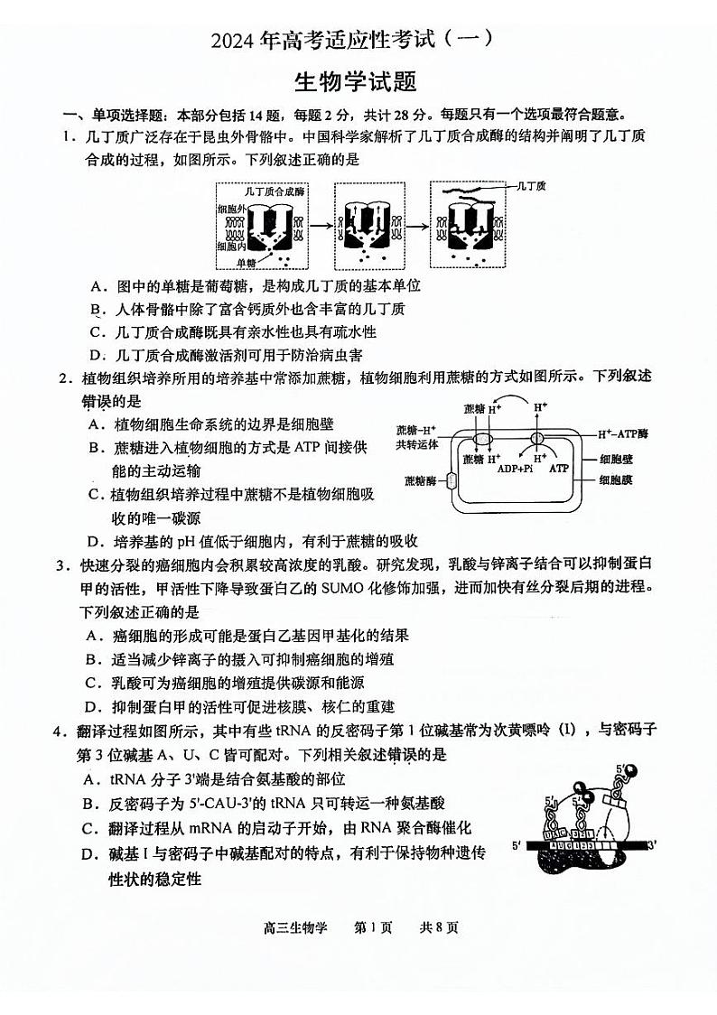 2024南通如皋高三下学期2月适应性考试（一）生物PDF版含答案01